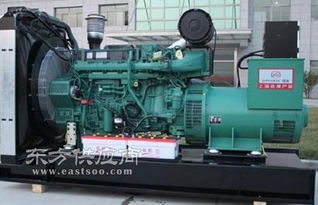 德宏靜音柴油發(fā)電機 昆明東本機電設(shè)備公司圖片